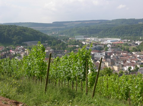 DSCN4995 Mittlere Webansicht